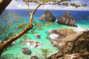 baia dos porcos & Morro dois irmaos